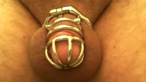 Snapshot of snakepit31 chatting on December 2024 10:06:02 PM Sissy Boy online show from December 2024 10:06:02 PM