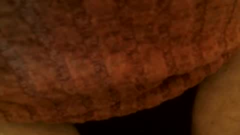 Snapshot of snakepit31 chatting on March 2025 06:51:02 PM Sissy Boy online show from March 2025 06:51:02 PM