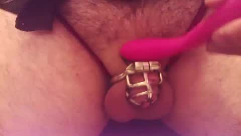 Snapshot of snakepit31 chatting on September 2025 07:46:01 PM Sissy Boy online show from September 2025 07:46:01 PM