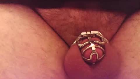 Snapshot of snakepit31 chatting on April 2026 07:22:02 PM Sissy Boy online show from April 2026 07:22:02 PM