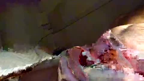 Snapshot of snooty05 chatting on January 2025 10:23:01 PM Snooty online show from January 2025 10:23:01 PM