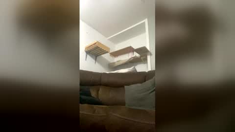 Snapshot of snowball5499 chatting on March 2026 01:01:02 AM snowball5499 online show from March 2026 01:01:02 AM