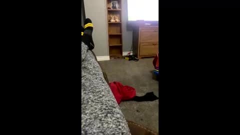 Snapshot of snowball5499 chatting on April 2026 03:26:02 AM snowball5499 online show from April 2026 03:26:02 AM