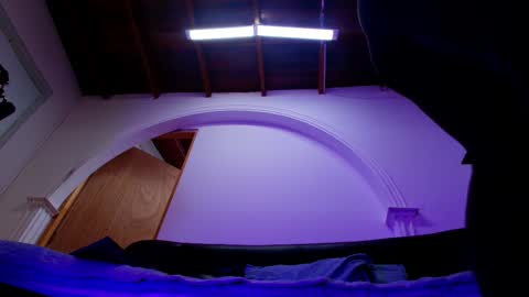 Sofia online show from October 2025 11:54:02 AM