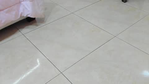 sofiaabigboobs online show from November 2025 11:54:02 AM