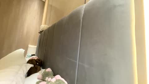 Snapshot of sofiaalvarezx chatting on July 2026 05:04:02 PM sofiaalvarezx online show from July 2026 05:04:02 PM