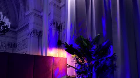 Snapshot of sofiafoster chatting on January 2025 02:19:01 PM Sofia online show from January 2025 02:19:01 PM