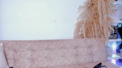   online show from February 2025 01:56:02 PM