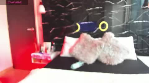 Sofia online show from November 2025 11:53:01 AM