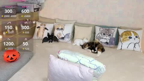 Mia online show from October 2025 07:37:01 PM