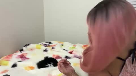 softandcreamyass online show from March 2026 04:29:01 AM