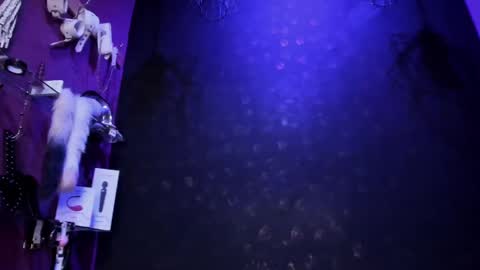 Alexa online show from March 2025 01:48:01 AM