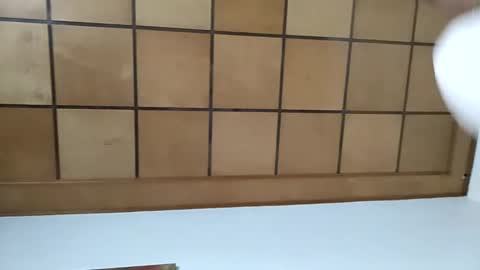 sonicegay online show from February 2025 01:30:01 PM