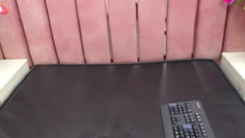 Snapshot of sophi_hardd chatting on December 2024 08:29:01 PM sophi_hardd online show from December 2024 08:29:01 PM