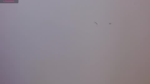 Snapshot of sophi_vi chatting on November 2025 08:25:02 PM Sophie online show from November 2025 08:25:02 PM