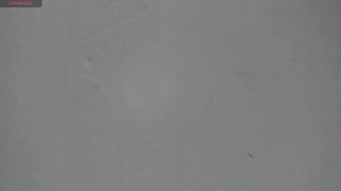 sophia_ebony___ online show from March 2026 01:17:01 PM