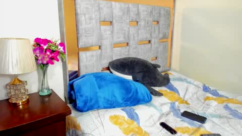 sophia CM online show from December 2025 02:17:02 AM