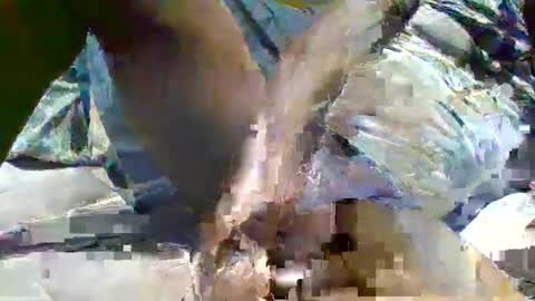 source1012 online show from January 2025 11:59:02 PM