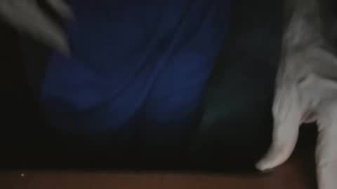 ScorpioKobra online show from November 2025 05:17:01 AM