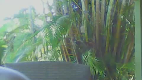 Snapshot of soveryhandsome chatting on April 2026 06:40:01 AM soveryhandsome online show from April 2026 06:40:01 AM