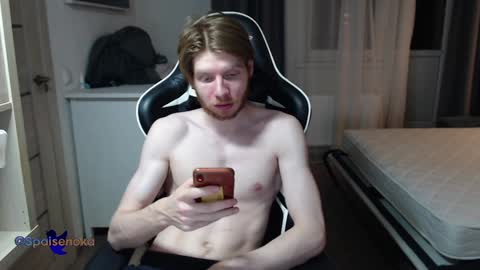 Snapshot of spaisenok chatting on December 2024 03:04:01 AM Mike online show from December 2024 03:04:01 AM