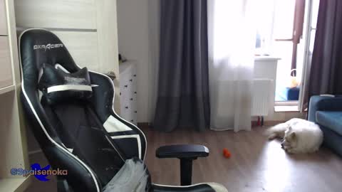 Snapshot of spaisenok chatting on March 2025 12:37:01 PM Mike online show from March 2025 12:37:01 PM