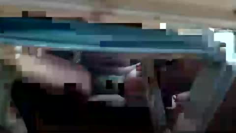 specialdic12 online show from August 2026 08:27:01 AM