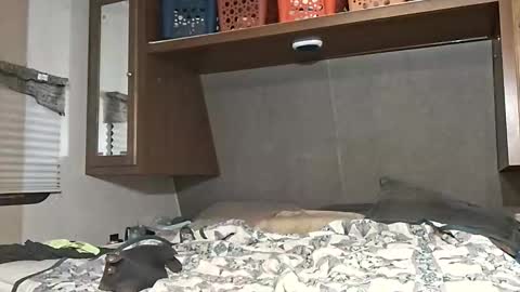 Snapshot of speedo_tx chatting on March 2026 10:23:01 AM speedo_tx online show from March 2026 10:23:01 AM