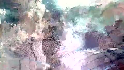 Snapshot of spence6669_tree chatting on November 2025 01:51:01 PM spence6669_tree online show from November 2025 01:51:01 PM