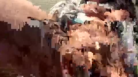 Sammi online show from December 2024 07:32:02 PM