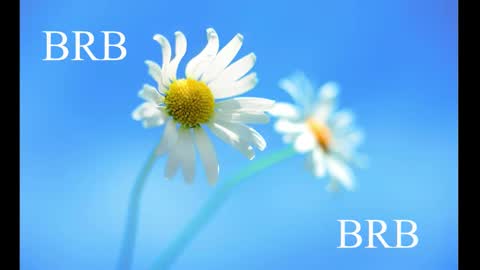 Karina online show from February 2025 08:31:02 AM