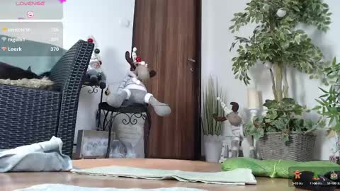 Monica online show from December 2024 12:16:02 PM