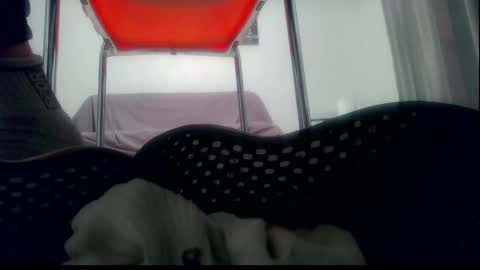 Snapshot of ssenzo chatting on January 2025 10:35:01 PM ssenzo online show from January 2025 10:35:01 PM