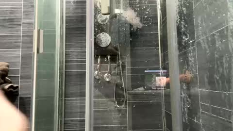 Hard all day online show from March 2026 07:20:02 PM