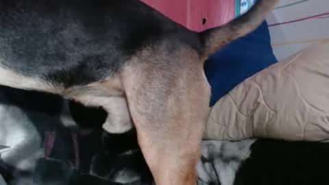 Snapshot of stacisavige chatting on April 2026 09:23:01 PM Sinserity online show from April 2026 09:23:01 PM