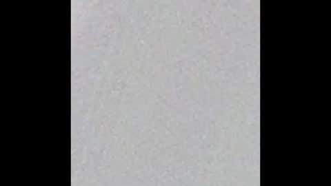 Stacy online show from February 2025 12:11:01 PM