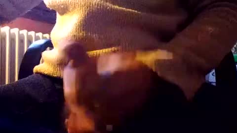 CIPPALIPPA online show from December 2024 01:08:02 PM