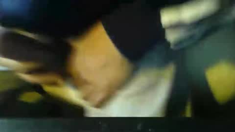 CIPPALIPPA online show from November 2025 12:40:02 PM