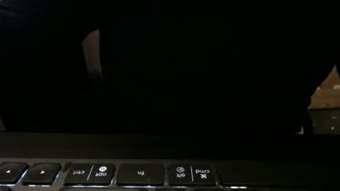 Snapshot of stargazer1069 chatting on November 2025 09:52:02 AM stargazer1069 online show from November 2025 09:52:02 AM