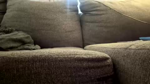 Snapshot of starr3095 chatting on December 2025 03:10:01 PM starr3095 online show from December 2025 03:10:01 PM