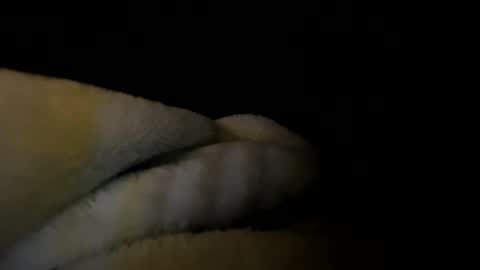 staystrokinonya online show from May 2026 11:31:02 AM