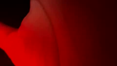 staystrokinonya online show from May 2026 06:11:01 AM