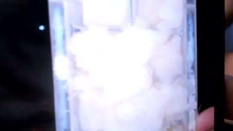 Snapshot of stealth1337 chatting on March 2026 02:24:01 PM stealth1337 online show from March 2026 02:24:01 PM