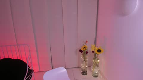 Snapshot of steffy_dan chatting on February 2025 03:34:02 AM Steffy online show from February 2025 03:34:02 AM