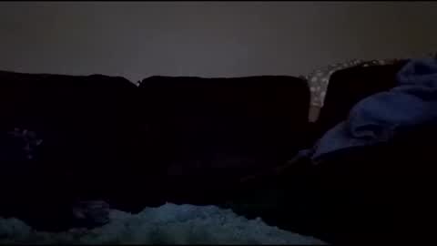 stefy1037 online show from January 2026 08:05:01 AM