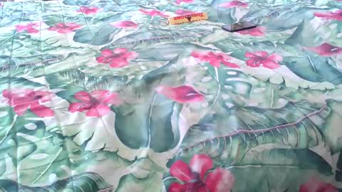 Snapshot of stel7621 chatting on April 2026 02:14:01 PM Rocco-load online show from April 2026 02:14:01 PM