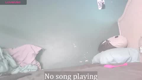 Stella Clitella online show from November 2025 01:32:02 PM