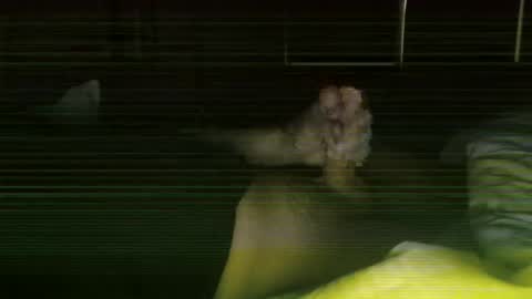 Steve online show from February 2026 11:43:02 AM