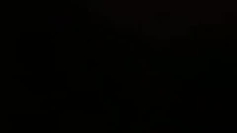 stevennsucculent online show from September 2025 05:51:02 PM