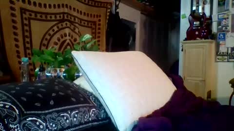 Snapshot of steviehard7 chatting on February 2025 05:15:02 AM steviehard7 online show from February 2025 05:15:02 AM